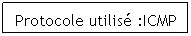 Zone de Texte: Protocole utilisé :ICMP