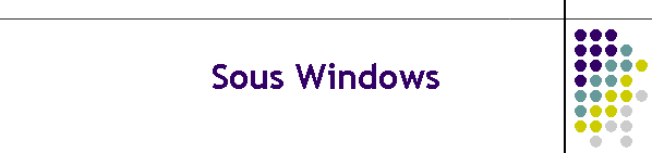 Sous Windows